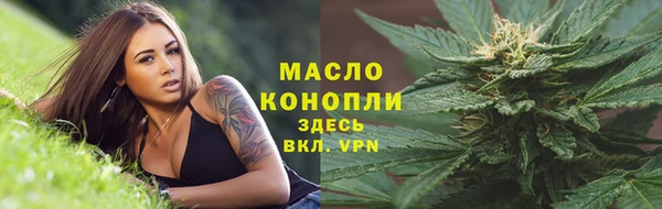 соль ск Вяземский