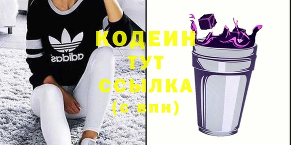 соль ск Вяземский
