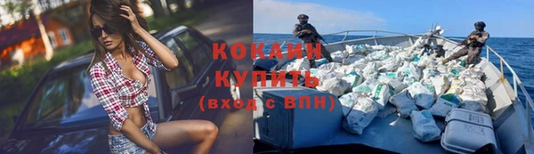 гашик Вязьма