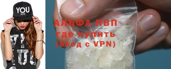 гашик Вязьма