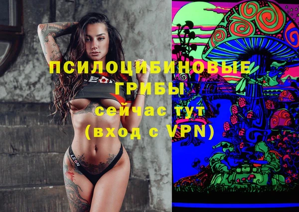 гашик Вязьма