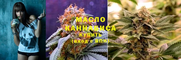 гашик Вязьма