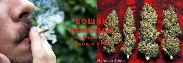 соль ск Вяземский