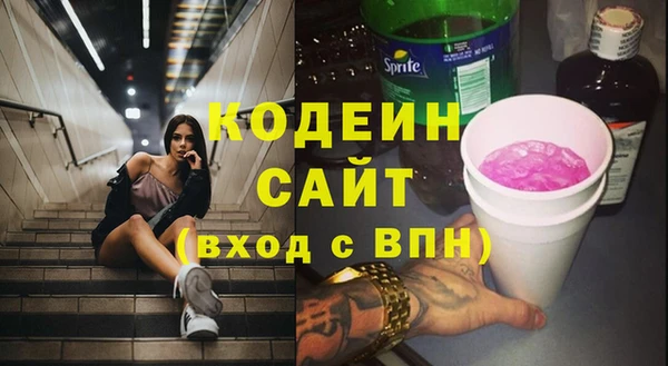 соль ск Вяземский