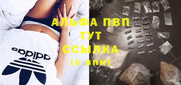 гашик Вязьма