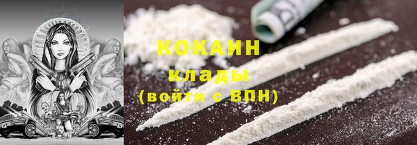 гашик Вязьма