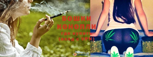 гашик Вязьма