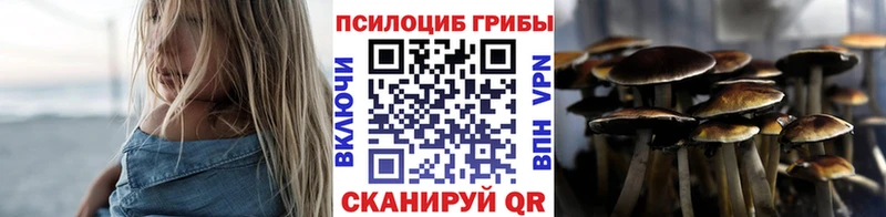 продажа наркотиков  Заполярный  Псилоцибиновые грибы Psilocybe 