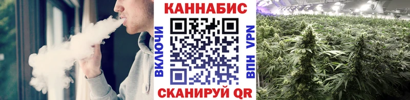 где найти   Заполярный  OMG ТОР  МАРИХУАНА SATIVA & INDICA 